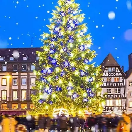 Grand 5 Pièces Petite France Appartamento Strasburgo