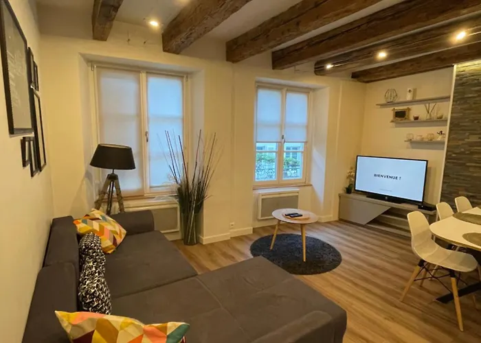 Apartment Grand 5 Pieces Petite France Straßburg